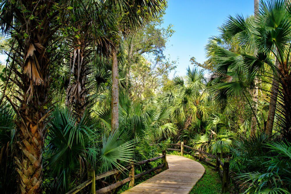 13. National Forests in Florida